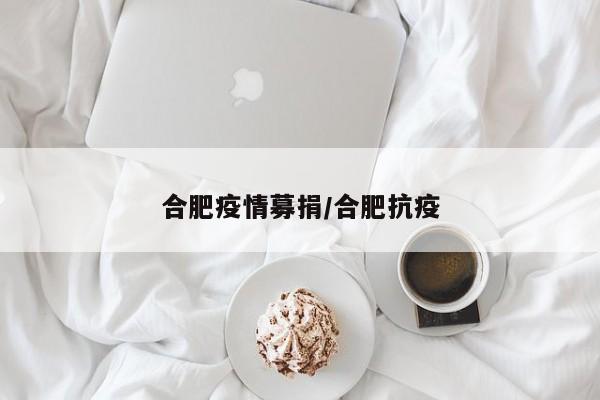 合肥疫情募捐/合肥抗疫